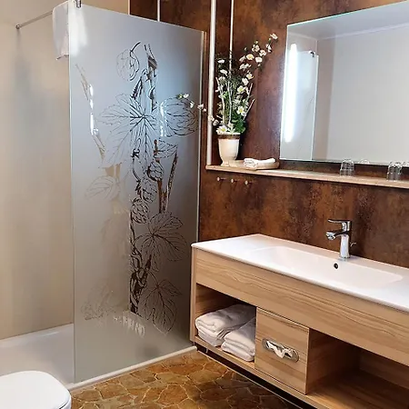 Hotel Strasshof 3*